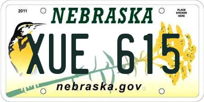 NE license plate XUE615