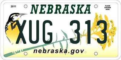 NE license plate XUG313