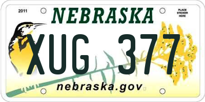NE license plate XUG377