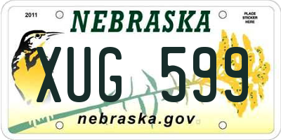 NE license plate XUG599