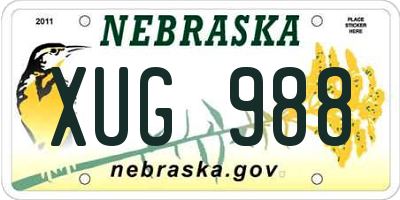 NE license plate XUG988