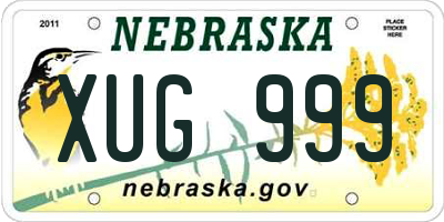 NE license plate XUG999