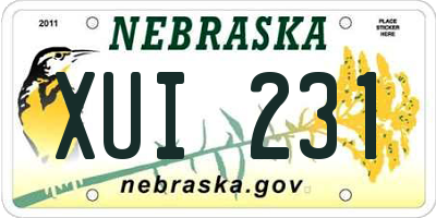 NE license plate XUI231