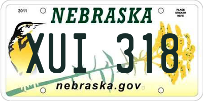 NE license plate XUI318