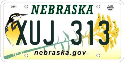 NE license plate XUJ313