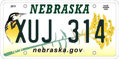 NE license plate XUJ314