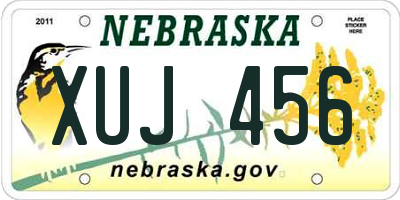 NE license plate XUJ456