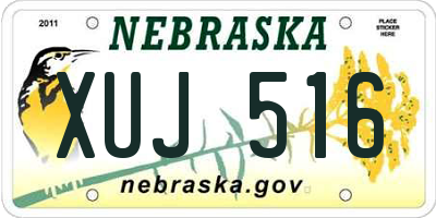 NE license plate XUJ516