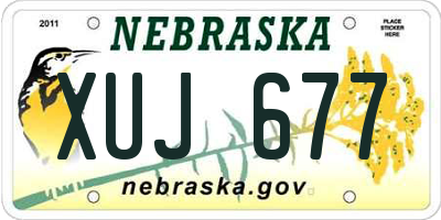 NE license plate XUJ677