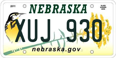 NE license plate XUJ930