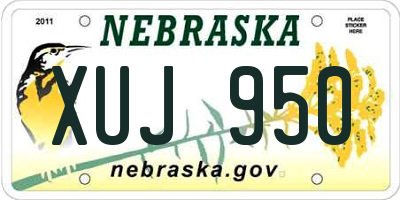 NE license plate XUJ950