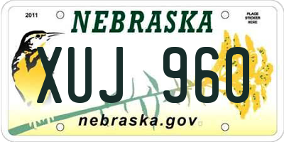 NE license plate XUJ960
