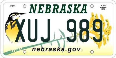 NE license plate XUJ989