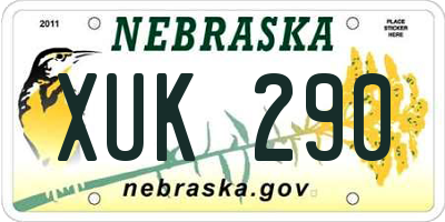 NE license plate XUK290