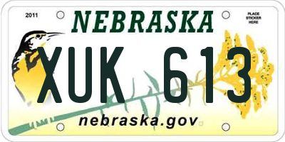 NE license plate XUK613