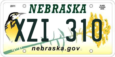 NE license plate XZI310