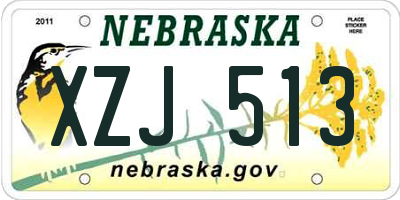 NE license plate XZJ513