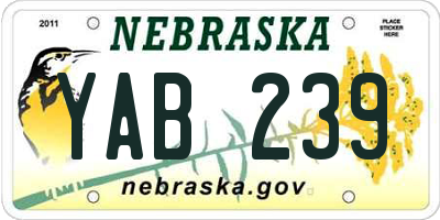 NE license plate YAB239