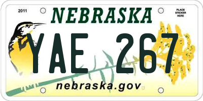 NE license plate YAE267
