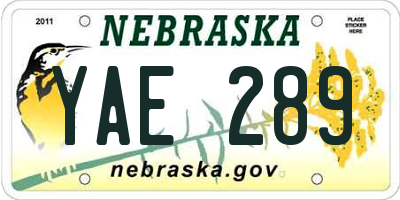 NE license plate YAE289