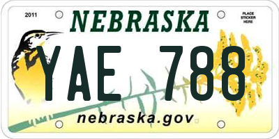 NE license plate YAE788
