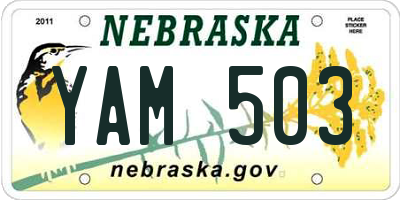 NE license plate YAM503