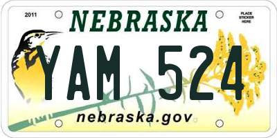 NE license plate YAM524
