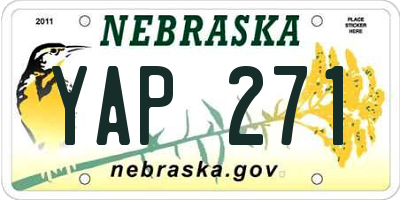 NE license plate YAP271
