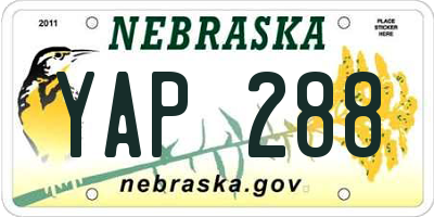 NE license plate YAP288