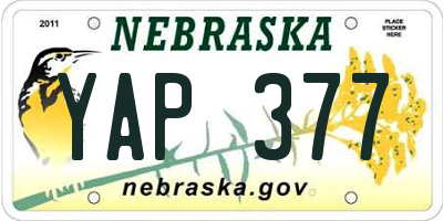 NE license plate YAP377