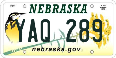 NE license plate YAQ289