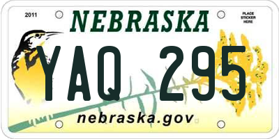 NE license plate YAQ295