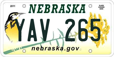 NE license plate YAV265
