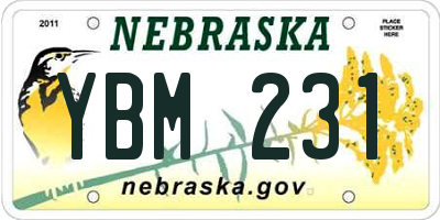 NE license plate YBM231