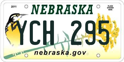 NE license plate YCH295