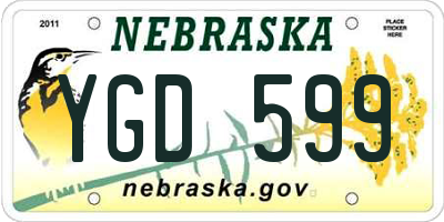 NE license plate YGD599