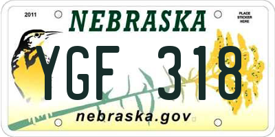 NE license plate YGF318