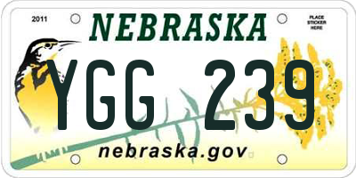 NE license plate YGG239