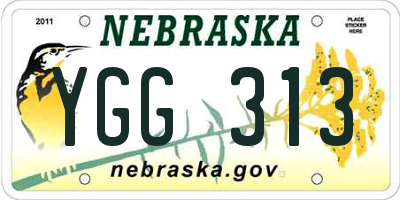 NE license plate YGG313