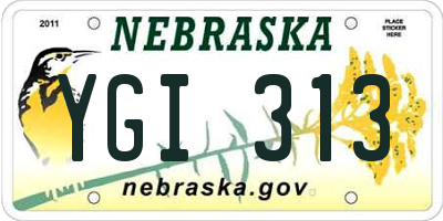 NE license plate YGI313