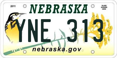 NE license plate YNE313