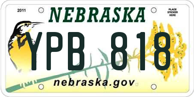 NE license plate YPB818