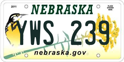 NE license plate YWS239