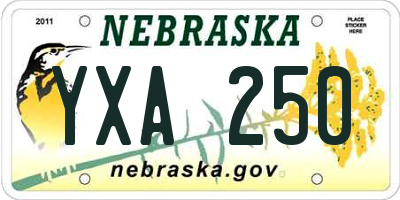 NE license plate YXA250