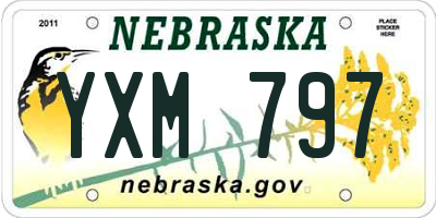 NE license plate YXM797