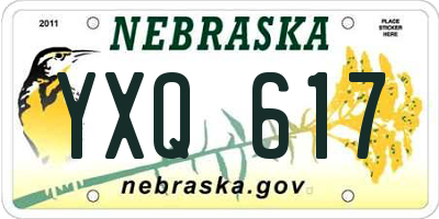 NE license plate YXQ617
