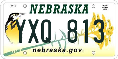 NE license plate YXQ813