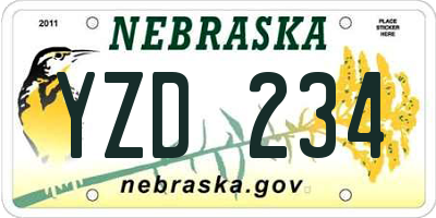 NE license plate YZD234