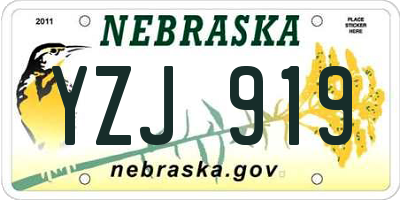NE license plate YZJ919