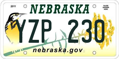 NE license plate YZP230